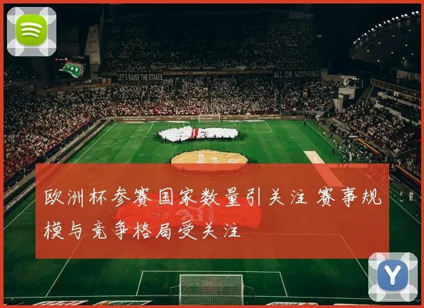 欧洲杯参赛国家数量引关注 赛事规模与竞争格局受关注